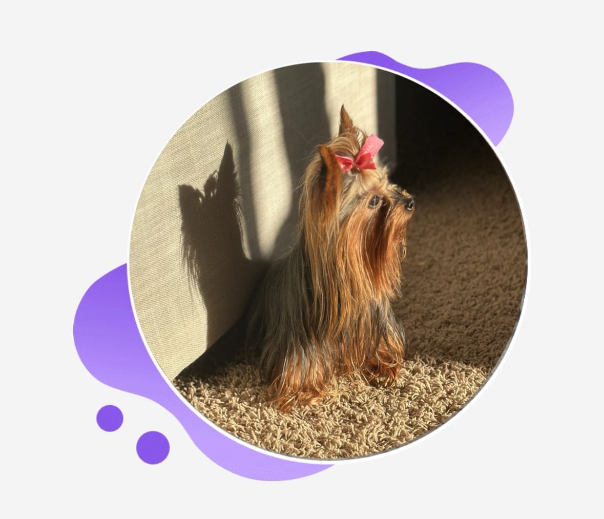 Bazaart_4D279789-E68A-4D66-A8F2-29A28ABE2C18