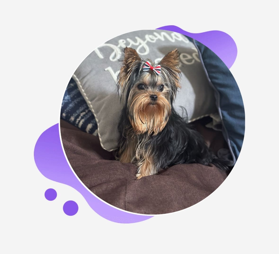 Bazaart_28E3E18E-E81C-42A0-B9D8-9272FC22BC30